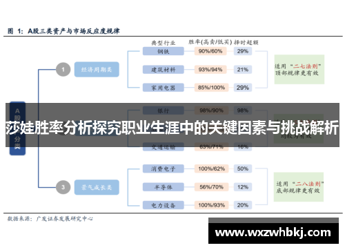 莎娃胜率分析探究职业生涯中的关键因素与挑战解析